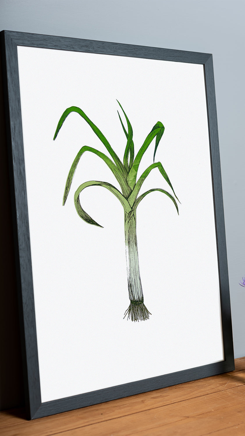 Leek vegetable art print by Lottie Day – limited edition silk screen illustration inspired by Norfolk allotment produce